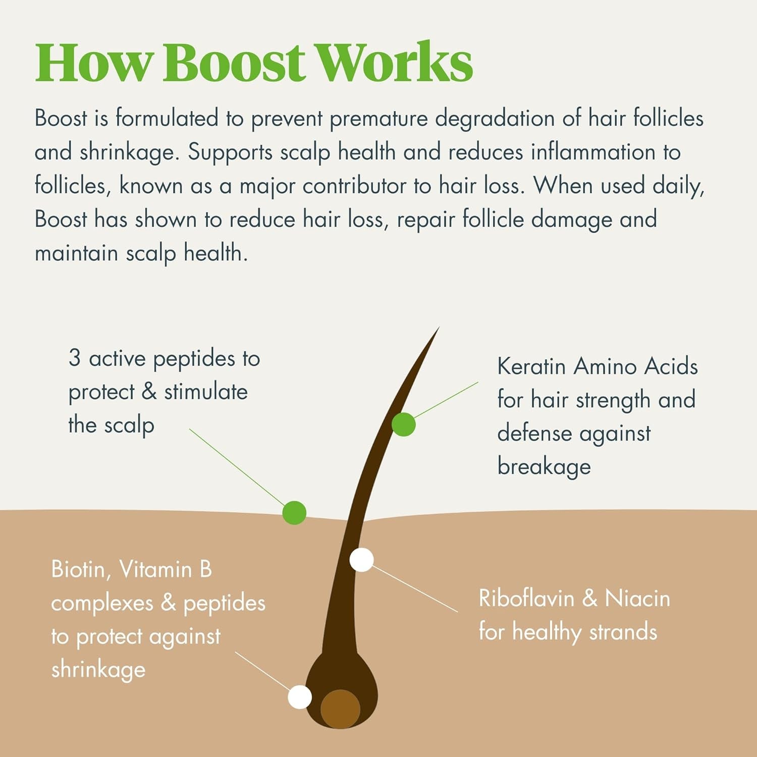 Biotin for Hair Follicles – Biotin Hair Growth Complex Protects from UV Rays – Hair Root Booster for Natural & Color Treated Hair – Hair Care Products for Women W/Thinning Hair (1.7 Oz)