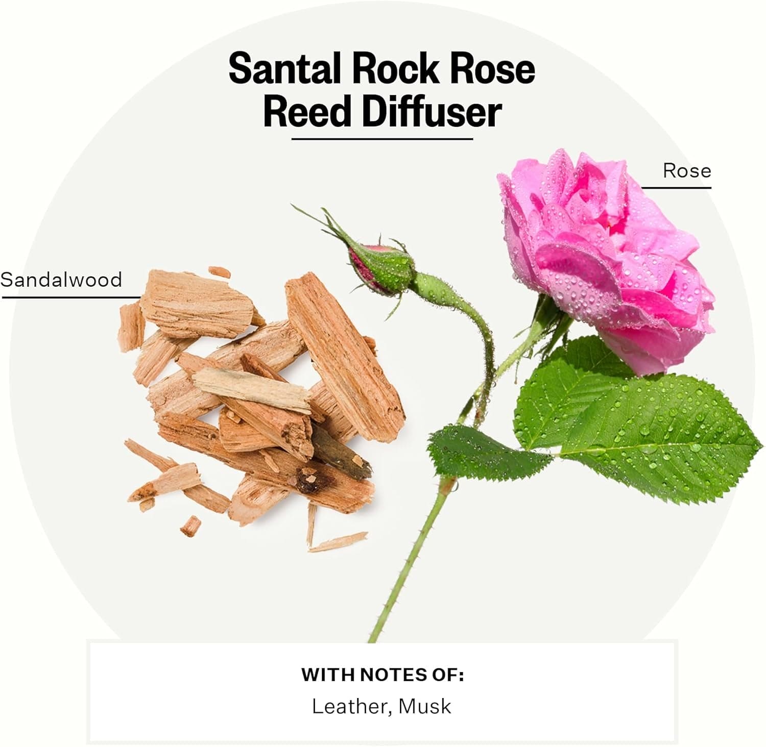 Apotheke Santal Rock Rose Reed Diffuser for Home Fragrance