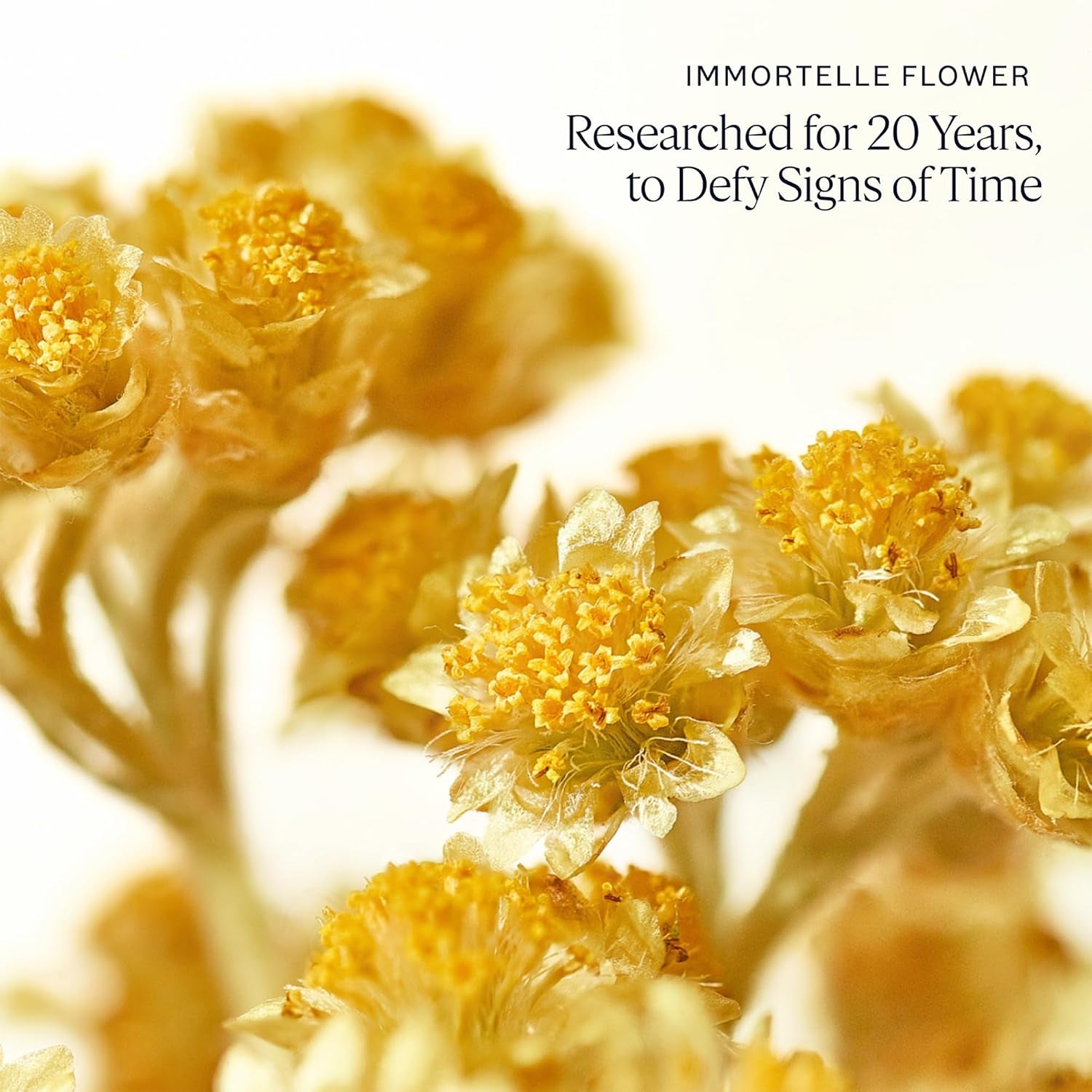 L'Occitane Immortelle Divine Cream 1.70 Oz