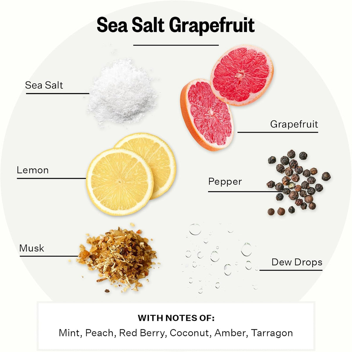 APOTHEKE Sea Salt Grapefruit Scented Candle | 10.5 oz