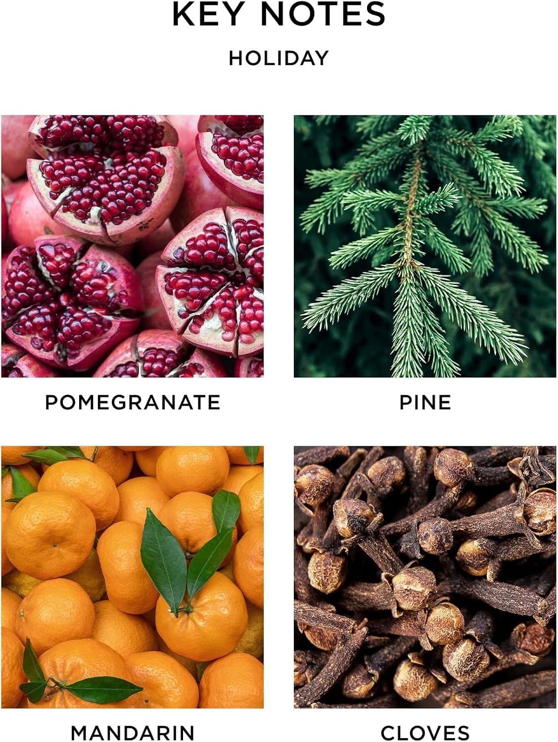 NEST Holiday scent key notes