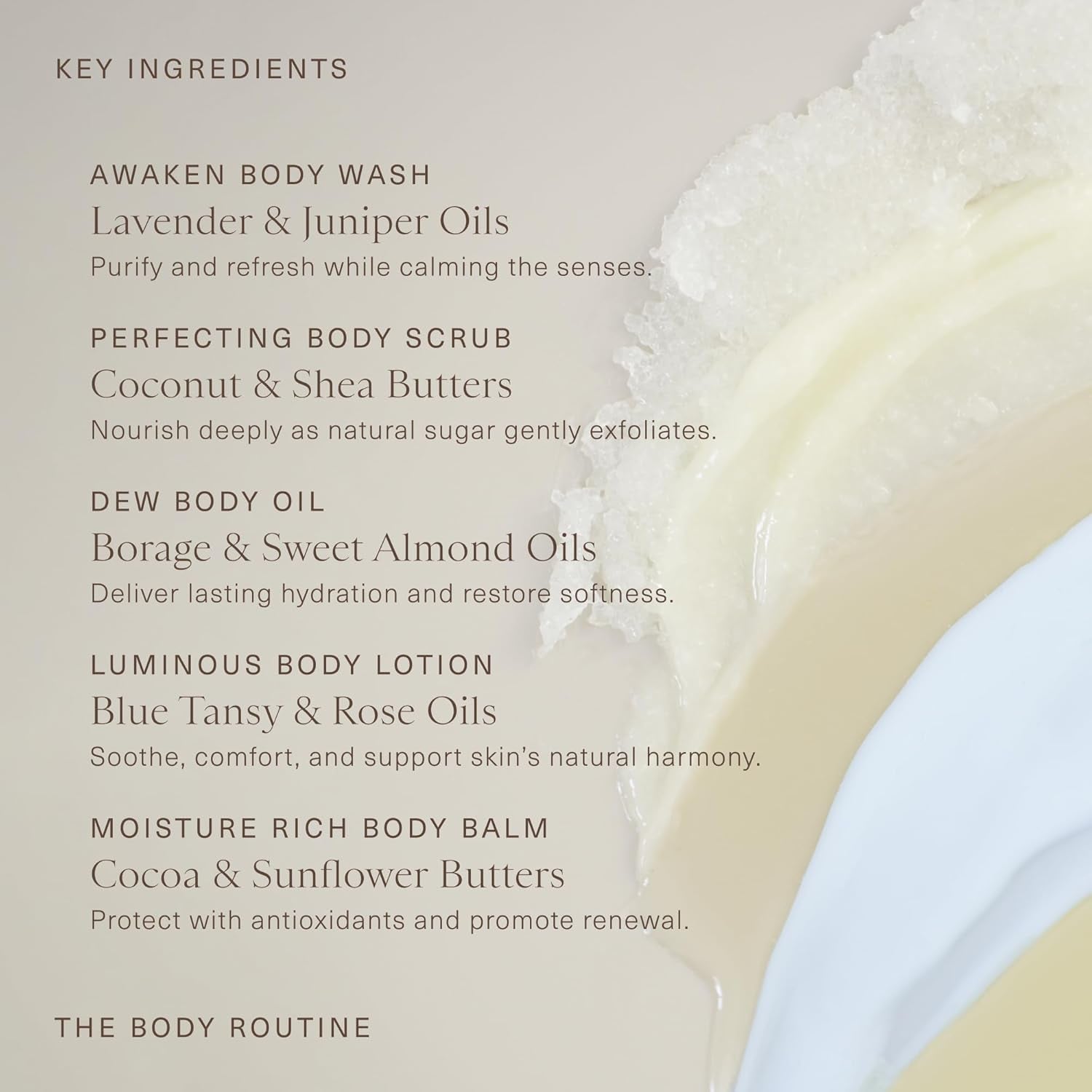 5-Step Oak Essentials The Body Routine Set with Blue Tansy for Complete Hydration and Radiant Skin