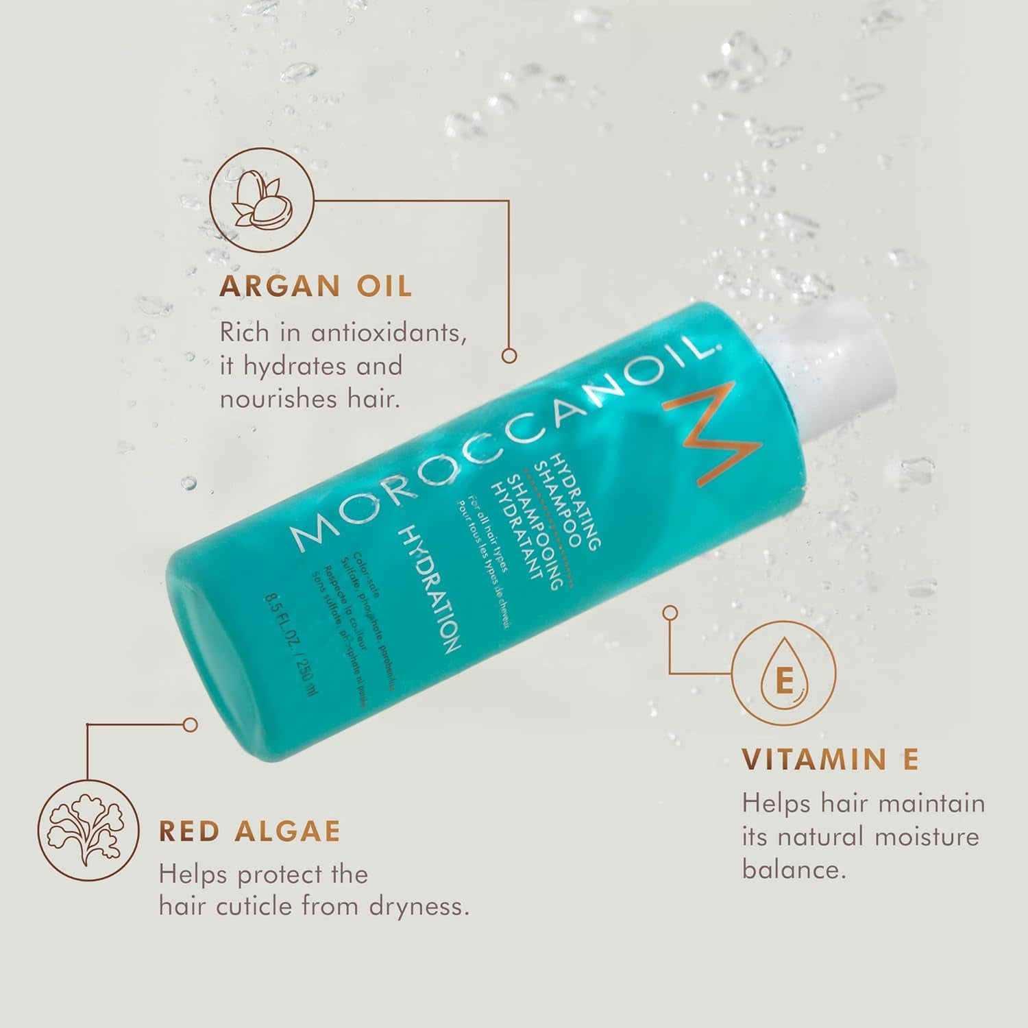 Moroccanoil Hydrating Shampoo + Conditioner Duo 8.5 fl oz / 250 mL each