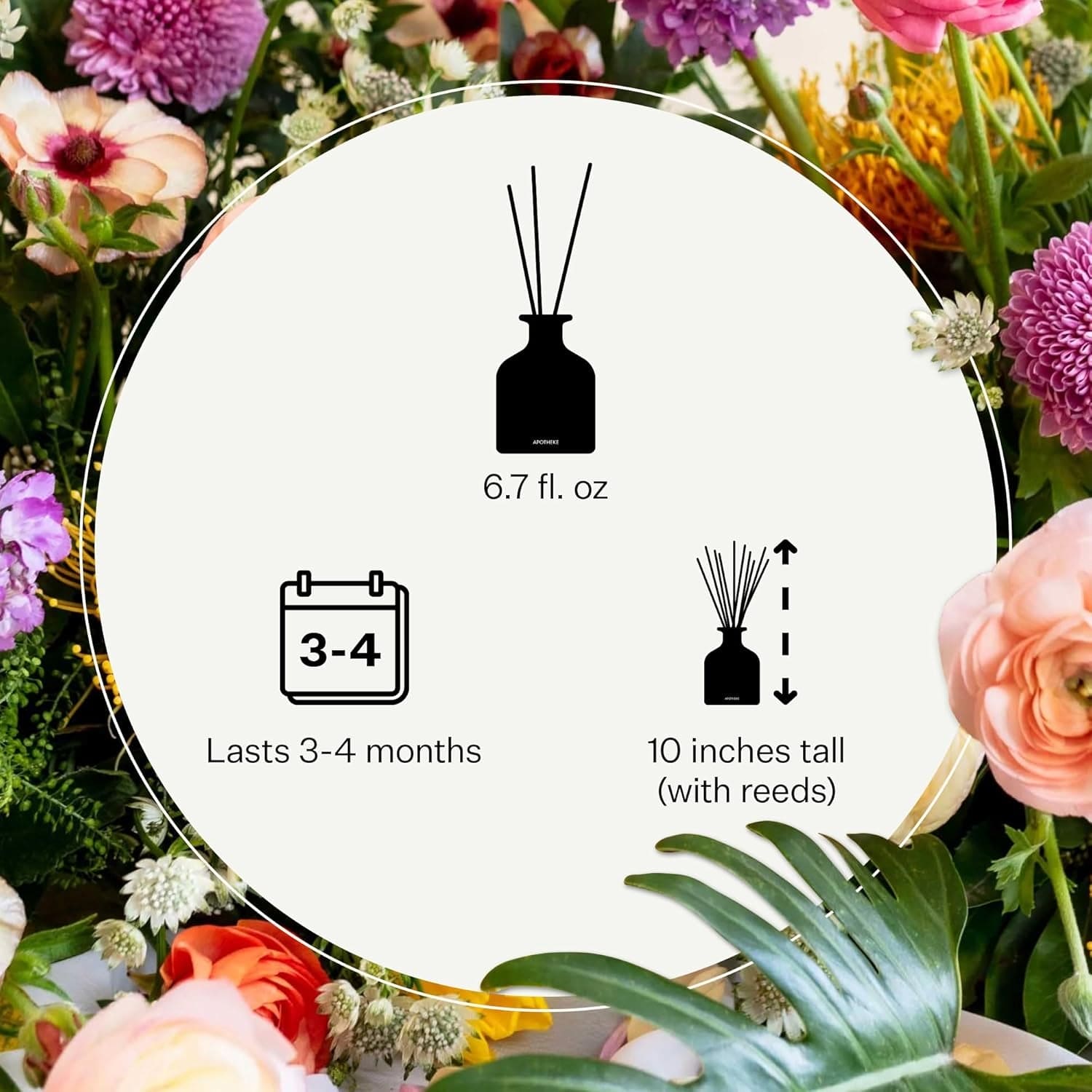 Apotheke Santal Rock Rose Reed Diffuser for Home Fragrance