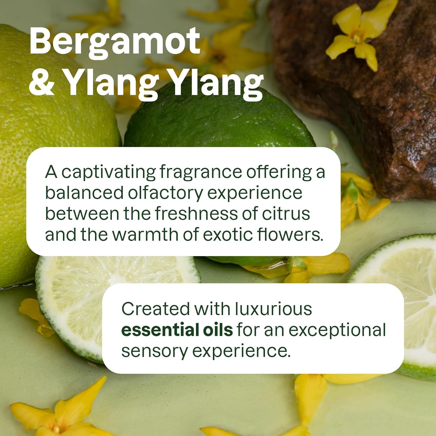 Bundle of Hand Soap, Body Wash, Hair Shampoo and Conditioner with Essential Oils, EWG Verified, Vegan Personal Care Products, Refillable Aluminum Bottle, Bergamot and Ylang Ylang, 16 Fl Oz