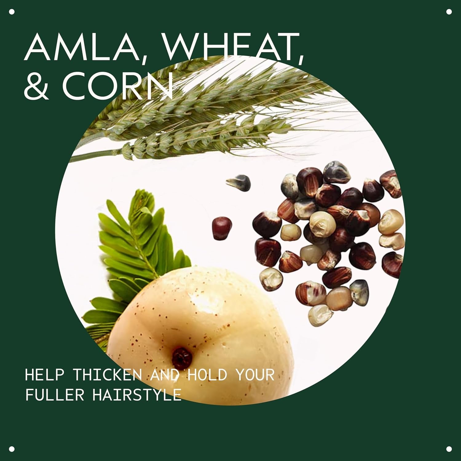 Thickening Tonic | Instantly Thickens Hair | for Thin and Fine Hair | with Certified Organic Amla