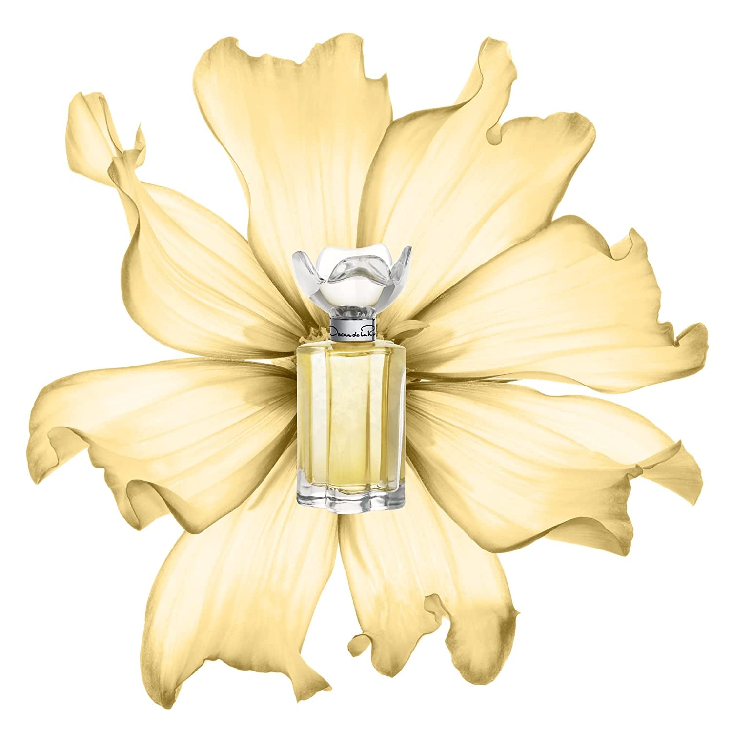 Oscar De La Renta Esprit D'Oscar Eau De Parfum Perfume Spray for Women, 3.4 Fl. Oz.