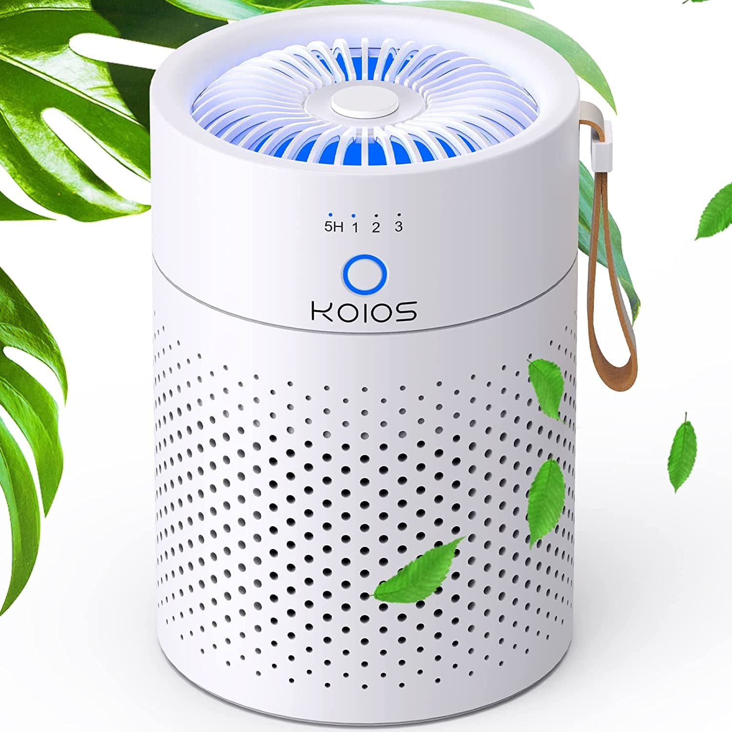 Air Purifiers for Bedroom Home, H13 True HEPA Filter Air Purifiers for Desktop Office Car Pets with USB Cable, Small Air Cleaner, Night Light, Timer, Remove Smoke, Dust, Odors, Pollen