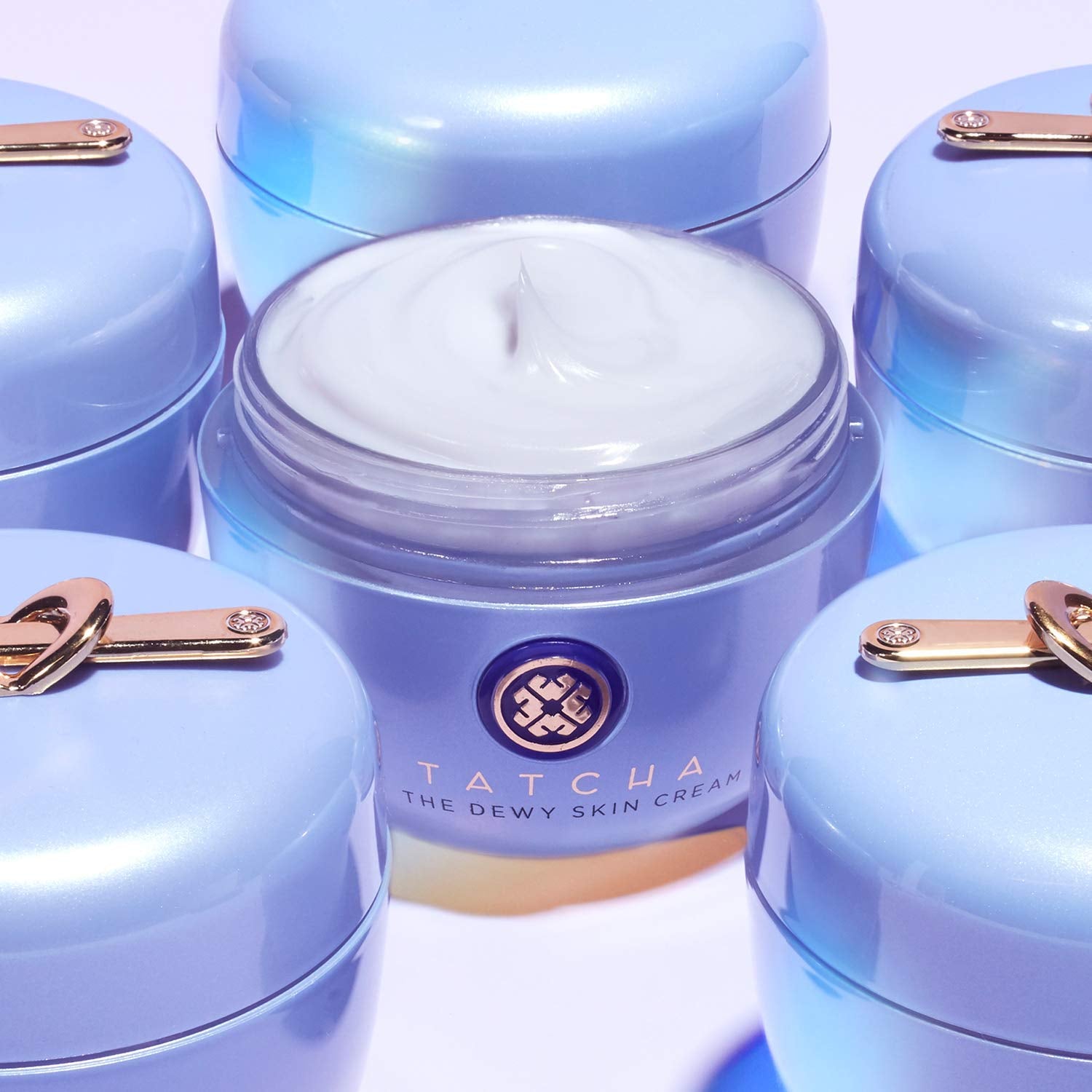 the Dewy Skin Cream: Rich Cream to Hydrate