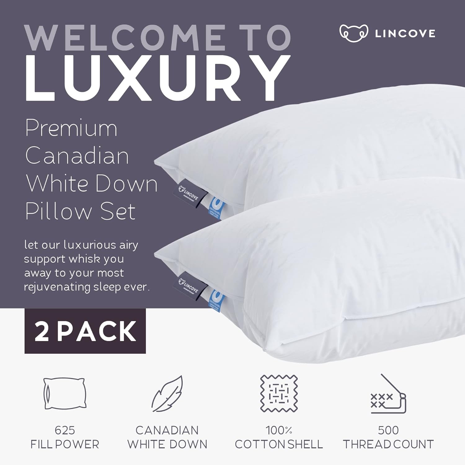 Cloud Natural Canadian down Pillow, White Luxury Sleeping Pillow - 625 Fill Power, 500 Thread Count Cotton Shell, Made in Canada, King - Medium, 2 Pack