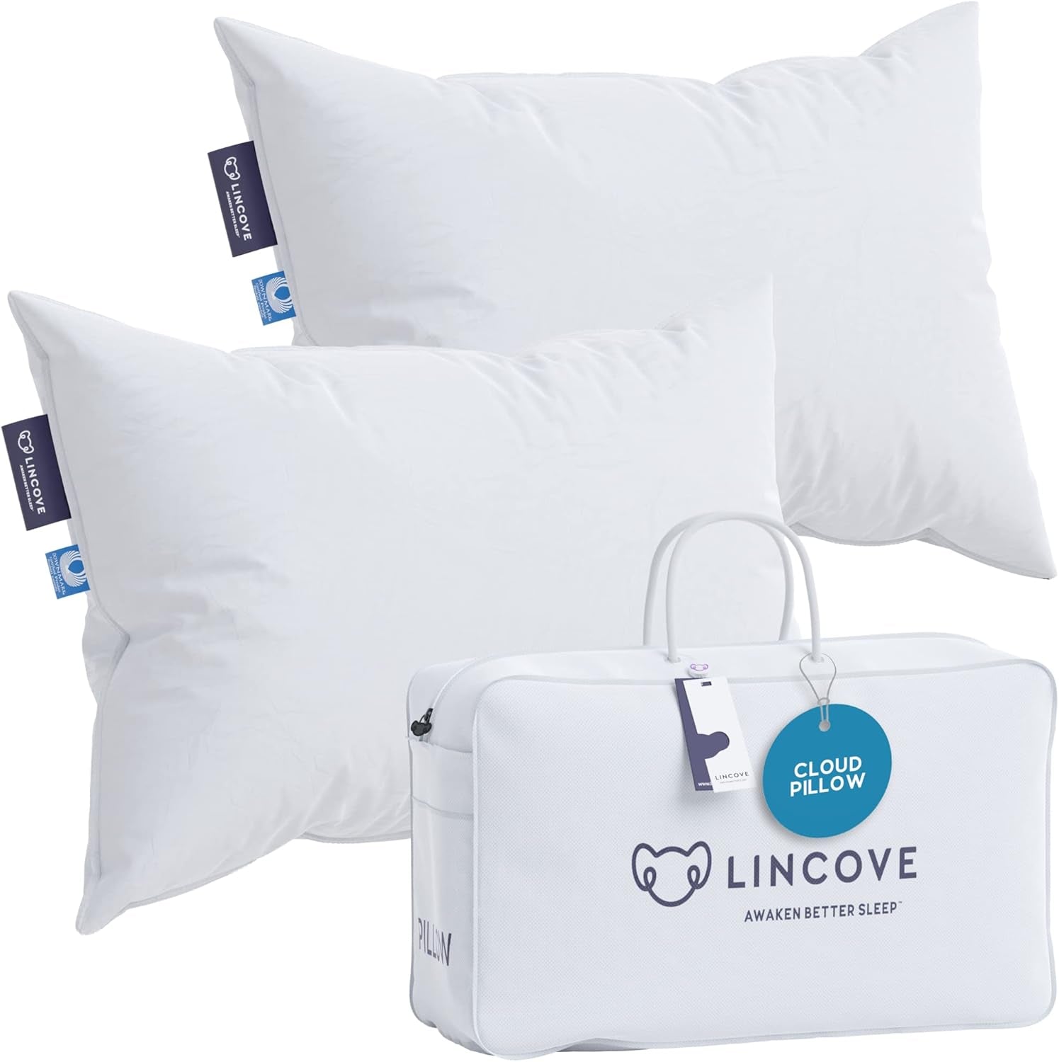 Cloud Natural Canadian down Pillow, White Luxury Sleeping Pillow - 625 Fill Power, 500 Thread Count Cotton Shell, Made in Canada, King - Medium, 2 Pack